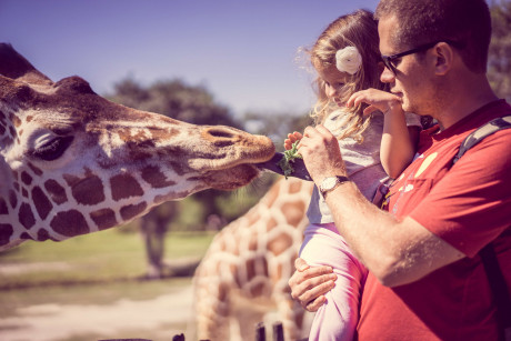 San Diego Zoo Package